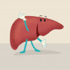 happy liver illustration
