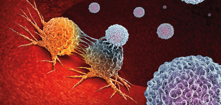 Cancer Immunotherapy as a human immune system therapy concept as a biomedical or biomedicine oncology treatment using the natural T cell fighting properties of the body as a 3D render.