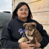 Katherine Goodlow holds Coco the puppy outside her grandmother's home in Hisle on the Pine Ridge Reservation in South Dakota