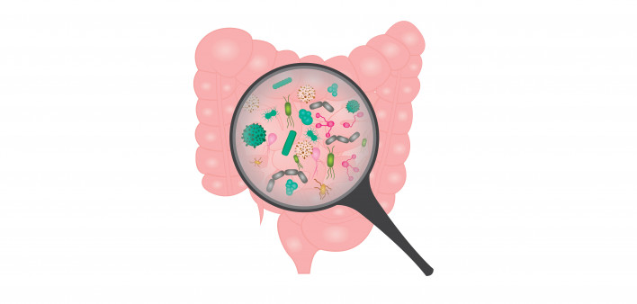Bacterial overgrowth in small intestine.