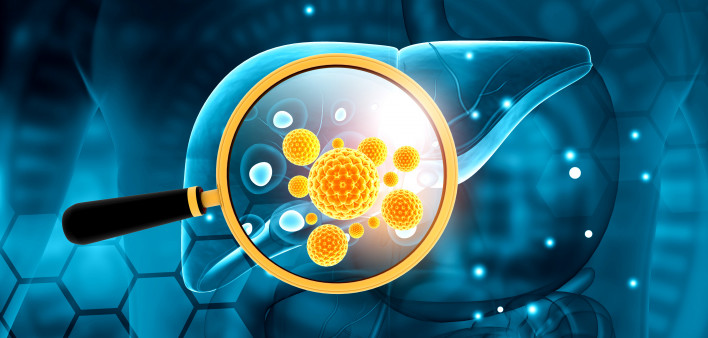 liver, virus, hepatitis B, hepatitis C Human liver
