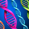 DNA-multicolor