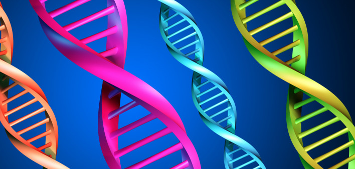 DNA-multicolor