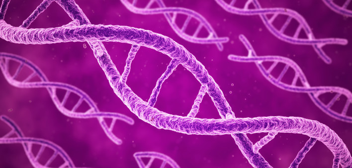 DNA-pink