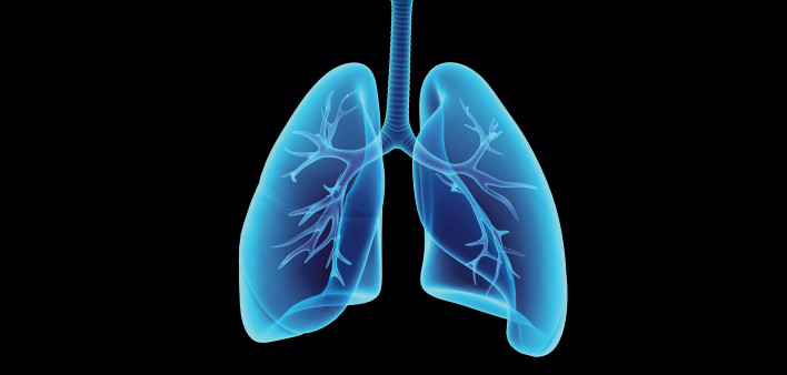 illustration lungs esophagus