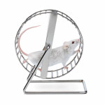 white mouse on wheel