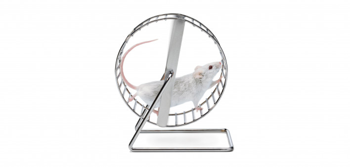 white mouse on wheel