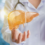 Doctor and liver illustration