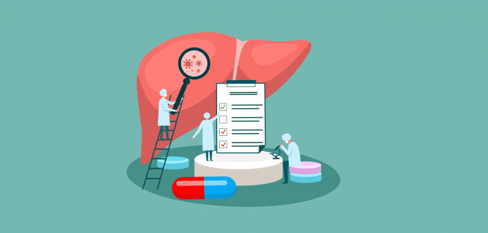 tiny doctor character diagnoses liver. vector illustration.