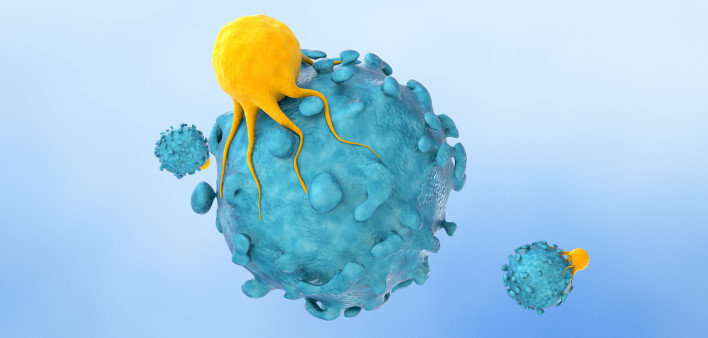 T cells (yellow) use their T-cell receptors to recognize target cells like cancer cells (blue).