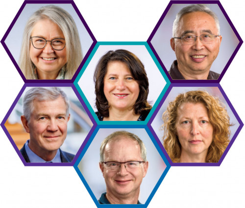 Garnet Anderson, Ruth  Etzioni, Ziding Feng,  Katherine Guthrie,  Charles Kooperberg and  Scott Ramsey