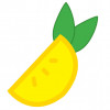 illustration of lemon sclice