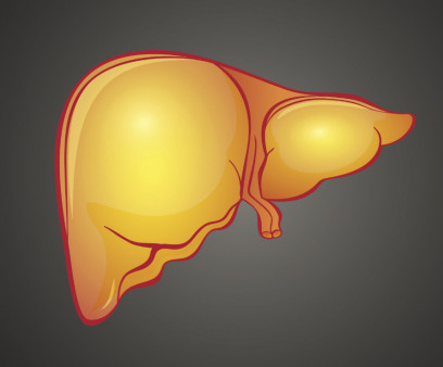 fatty liver