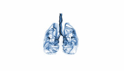 smoke lungs illustration