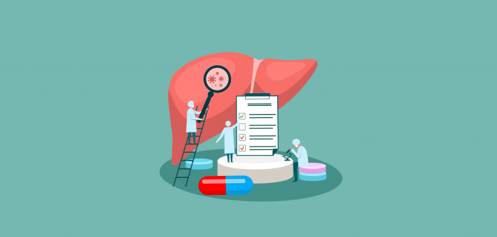 tiny doctor character diagnoses liver. vector illustration.