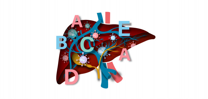 illustration of liver with letters
