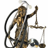 liberty statue and stethoscope