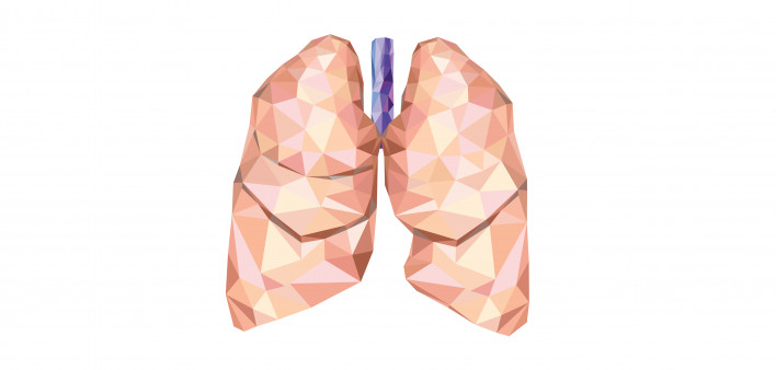 illustration of lungs