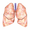 illustration of lungs