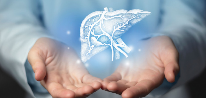 Hepatologist doctor, liver specialist. Aesthetic handdrawn highlighted illustration of human liver.