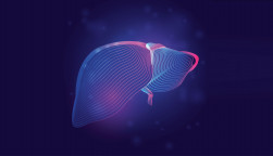 Human liver medical structure. Outline vector illustration of body part organ anatomy in 3d line art style on neon abstract background