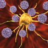T cells attack a cancer cell