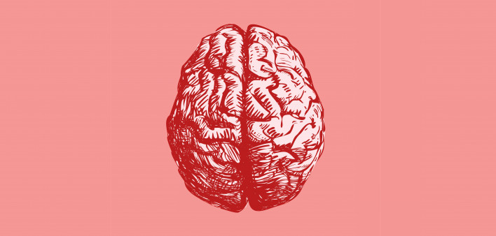 Brain