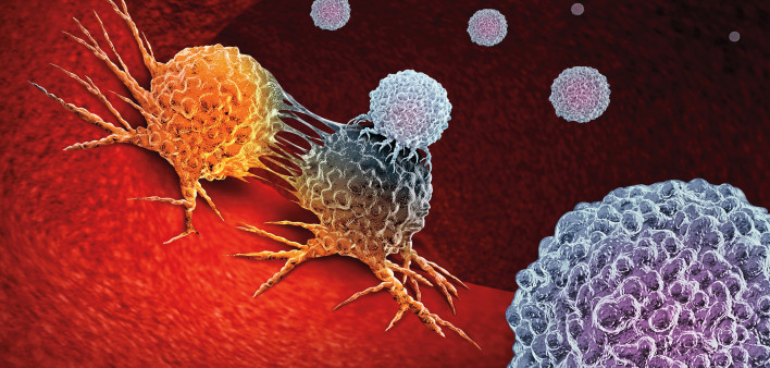 Cancer Immunotherapy as a human immune system therapy concept as a biomedical or biomedicine oncology treatment using the natural T cell fighting properties of the body as a 3D render.