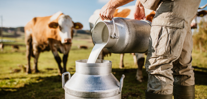 Farmer pouring raw milk into container