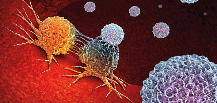 Cancer Immunotherapy as a human immune system therapy concept as a biomedical or biomedicine oncology treatment using the natural T cell fighting properties of the body as a 3D render.