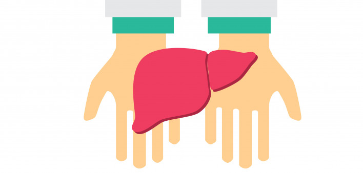 hand holding liver illustration