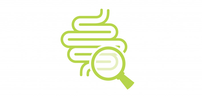 illustation magnifying glass looking at intestines colon