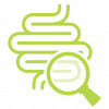 illustation magnifying glass looking at intestines colon