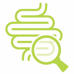 illustation magnifying glass looking at intestines colon