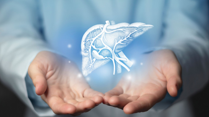 Hepatologist doctor, liver specialist. Aesthetic handdrawn highlighted illustration of human liver.