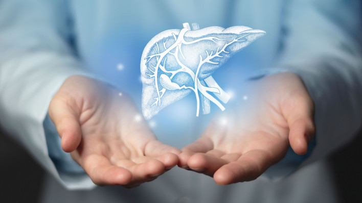 Hepatologist doctor, liver specialist. Aesthetic handdrawn highlighted illustration of human liver.