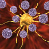T cells attack a cancer cell