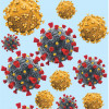 HIV Virus
