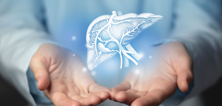 Hepatologist doctor, liver specialist. Aesthetic handdrawn highlighted illustration of human liver.