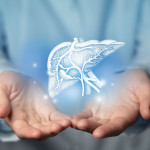 Hepatologist doctor, liver specialist. Aesthetic handdrawn highlighted illustration of human liver.