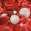 3D rendering of white and red blood cells