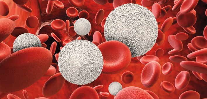 3d rendering white blood cells with red blood cells
