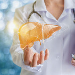 Doctor and liver illustration