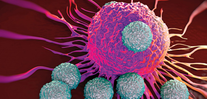 cancer and immune cells