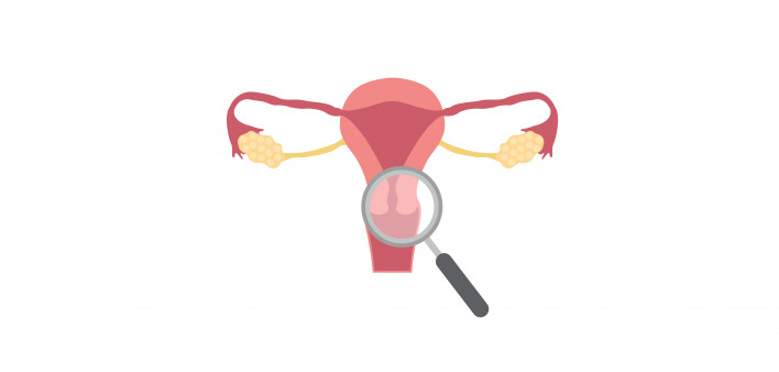 illustration female reproductive system cervix