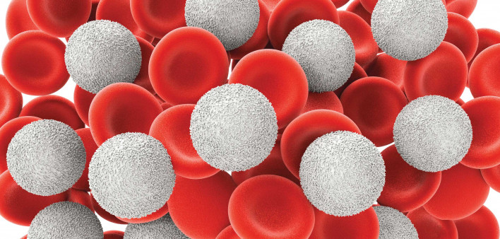 White blood cells with red blood cells