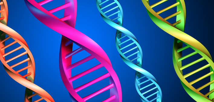 DNA-multicolor