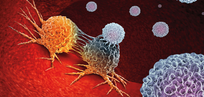 Cancer Immunotherapy as a human immune system therapy concept as a biomedical or biomedicine oncology treatment using the natural T cell fighting properties of the body as a 3D render.