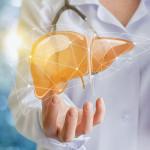 Doctor and liver illustration