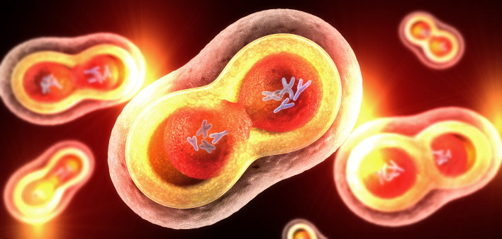 Dividing cells on colorful background